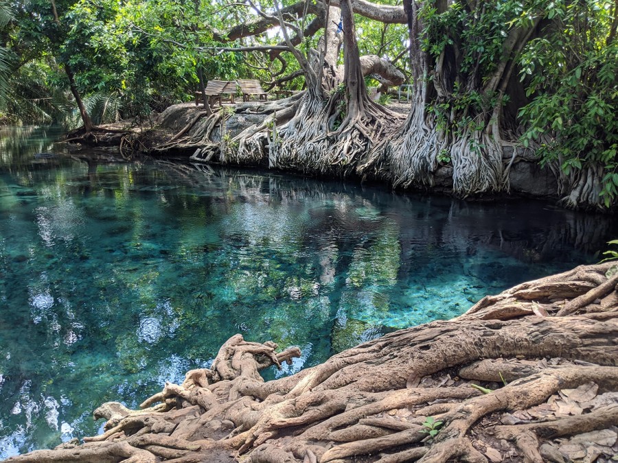 Day Trip to Chemka Hot Springs